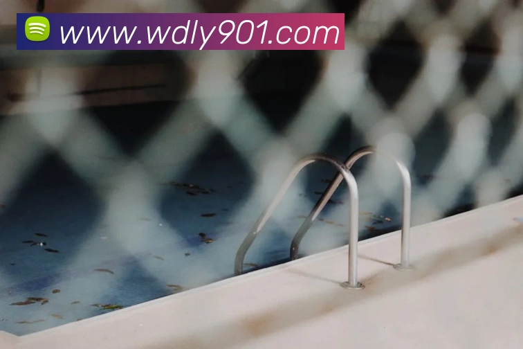 8868体育品牌故事