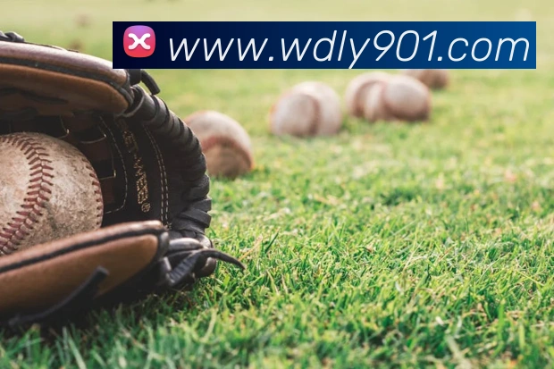 8868体育服务体系